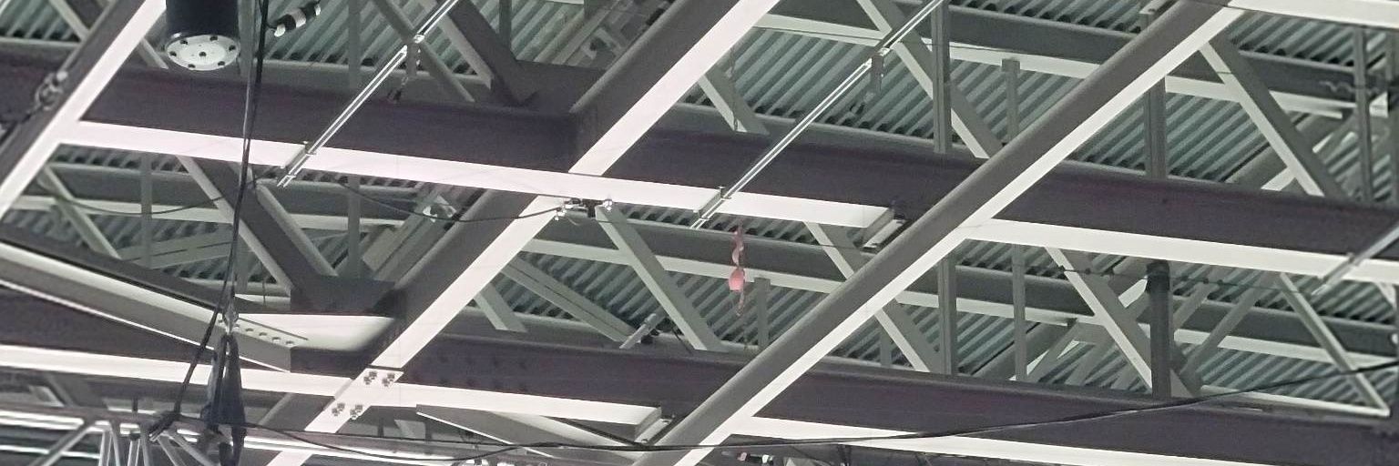 Chickenosaurus banner