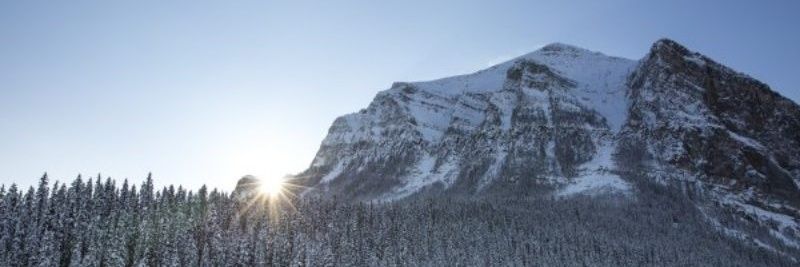 Gordy 🇨🇦 banner
