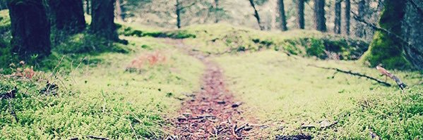 Lys_sw's profile banner image