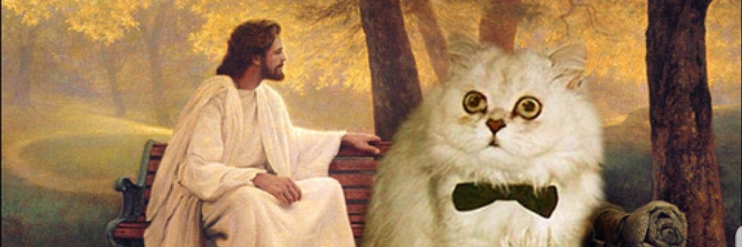 Doris Delaney banner