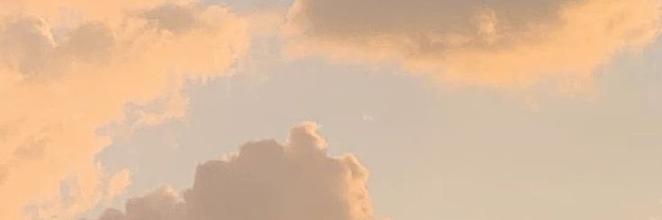 puddinggko's profile banner image