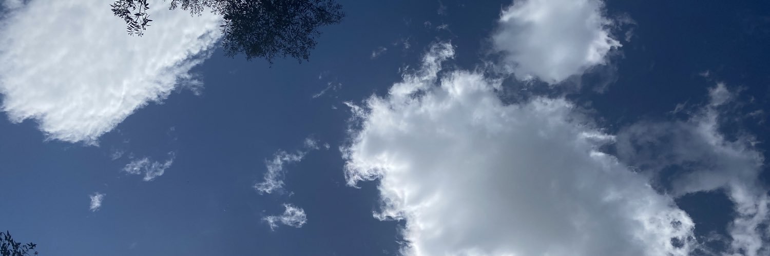 BenedettaZanell's profile banner image