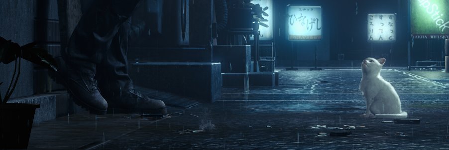 ‍‍‘𝓒𝒐𝒏𝒅𝒐𝒓 𝓞𝒏𝒆 ’ ‍‍'s banner