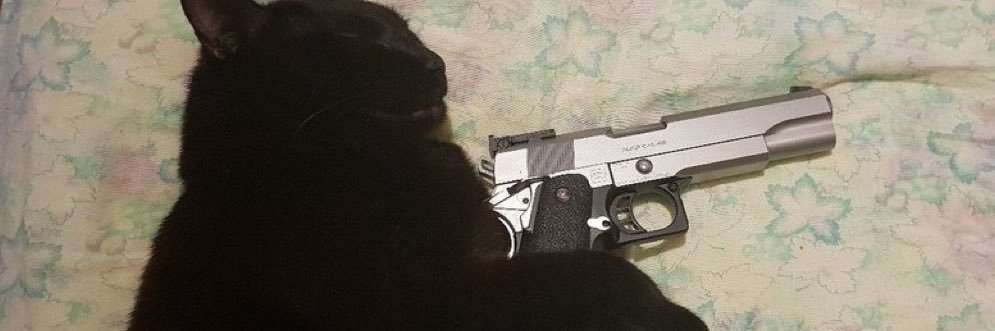 Orlí banner