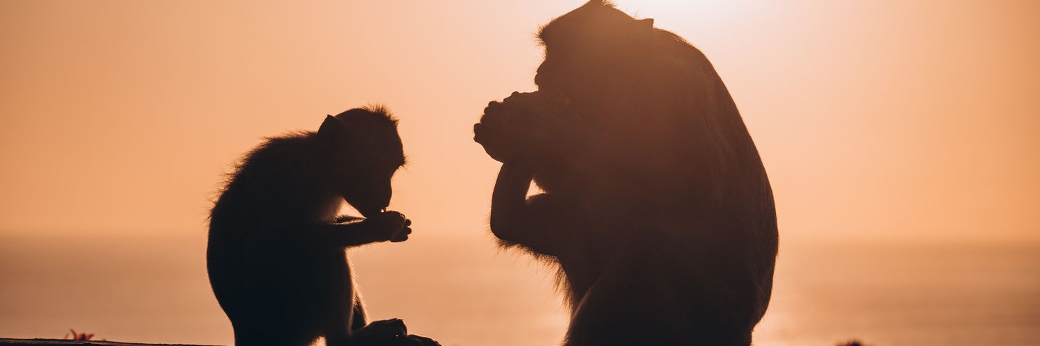 brechtdfrt's profile banner image