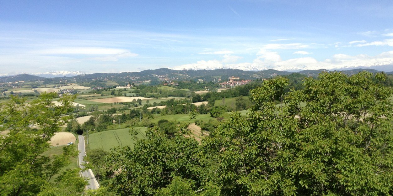 Daniela Broglio banner