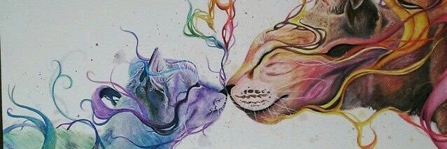 franz_332's profile banner image