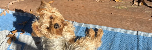 Mike_Swoop Profile Banner