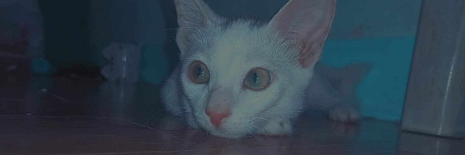 MonBarrieta's profile banner image
