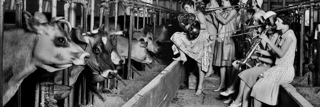 (((Simcha Fisher))) banner