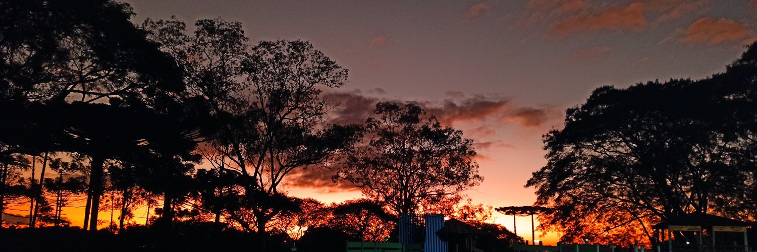 dowg's profile banner image