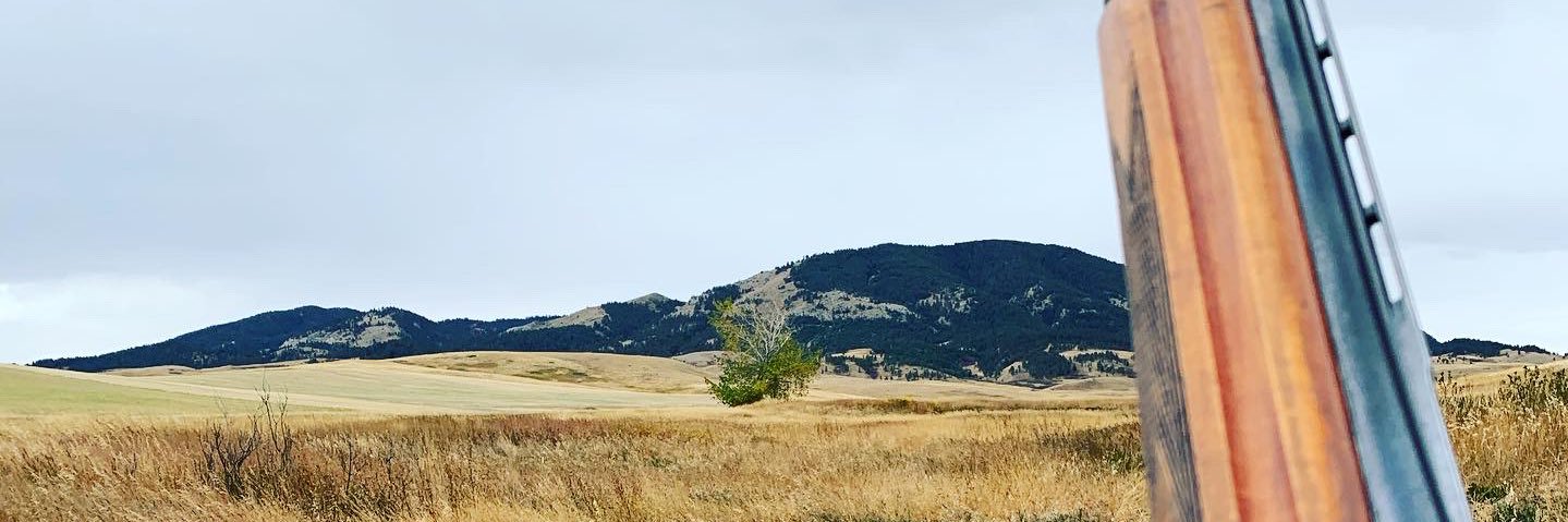 GCDavis1's profile banner image