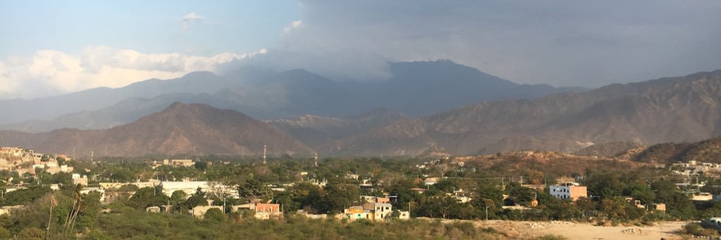 Diana Pinzón banner