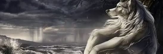 Ei_Eros's profile banner image