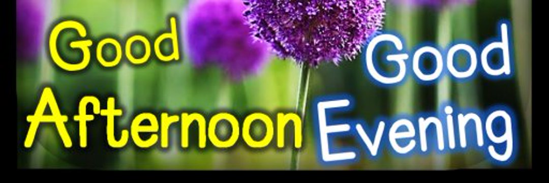 sushmita7456's profile banner image