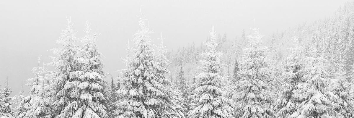 adrianna. 🤱🏻👶🏻 banner