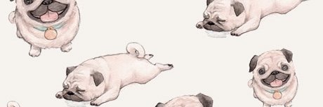 LazarusRoze's profile banner image
