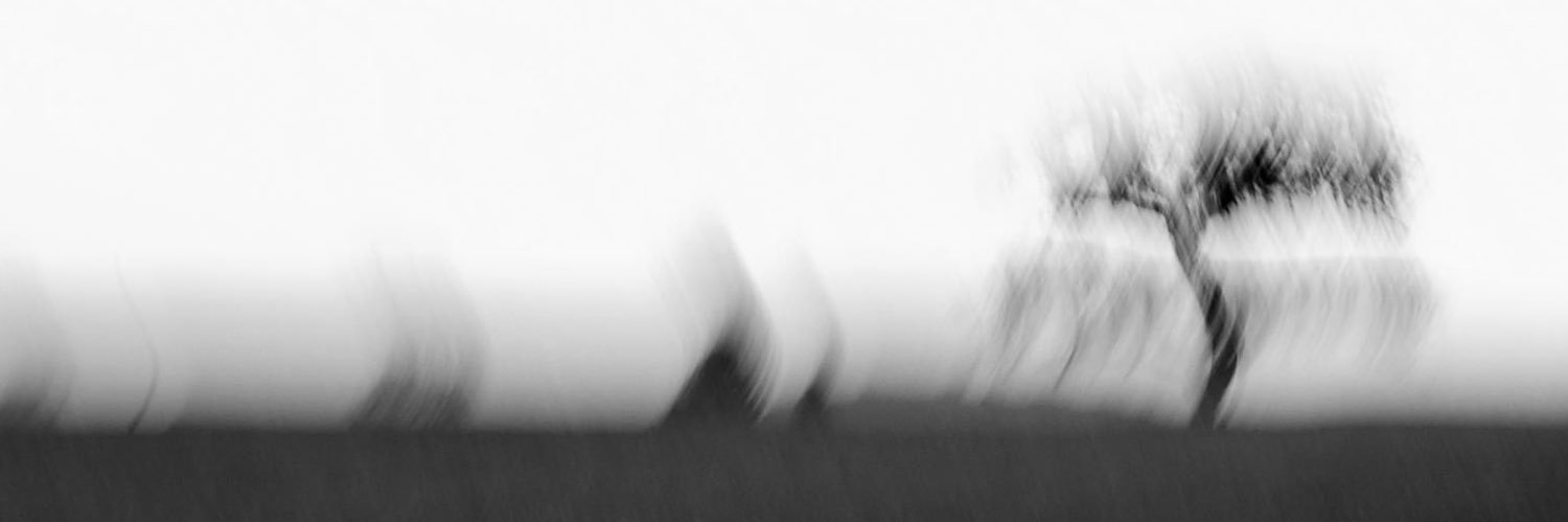 Bolzlim's profile banner image