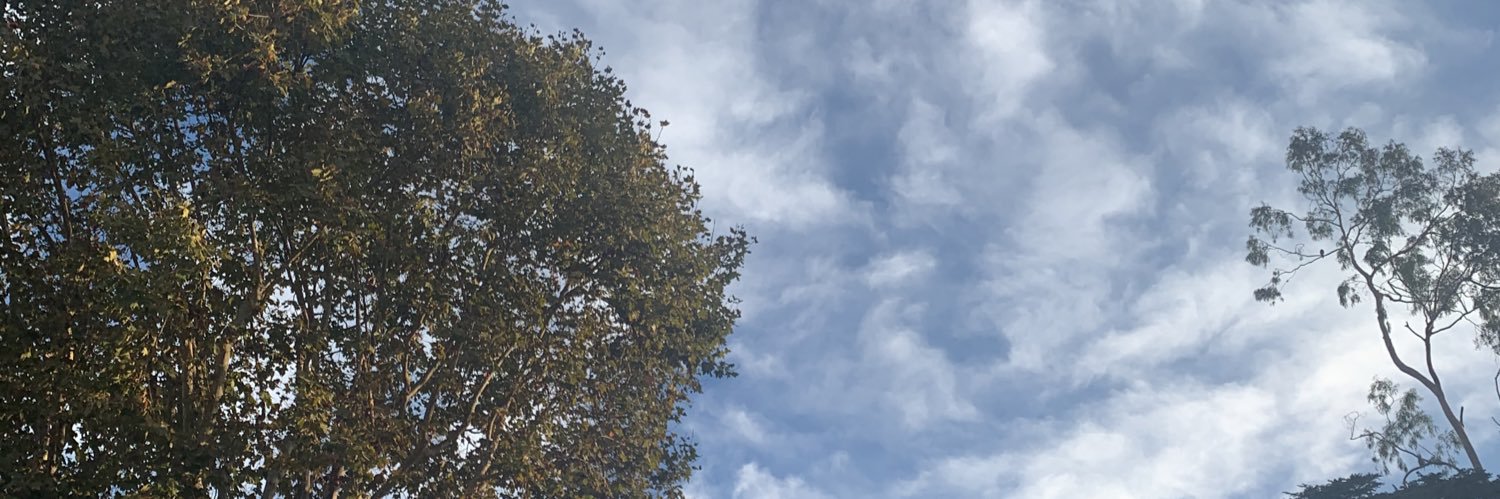 sumries's profile banner image