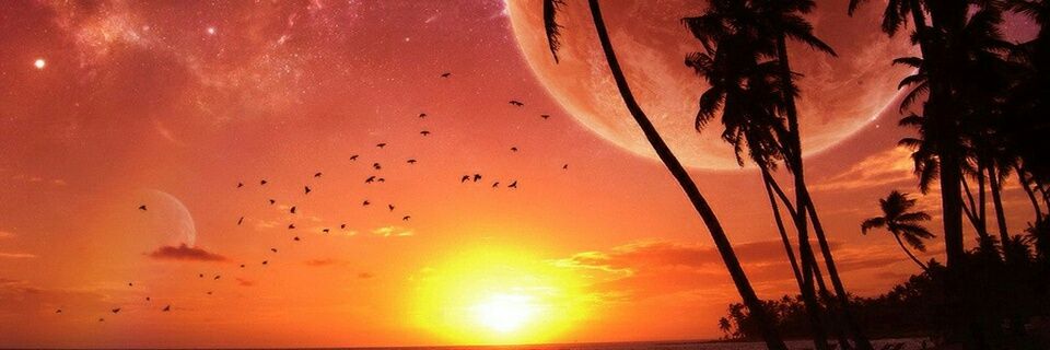 EkAlif's profile banner image