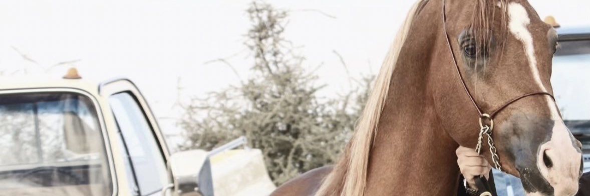 uuit_7's profile banner image