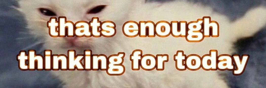 Xander to Pander's banner