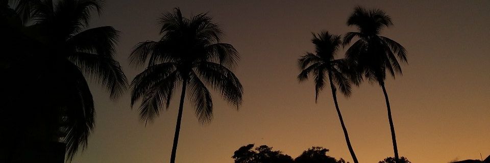 ItzelBaez2's profile banner image
