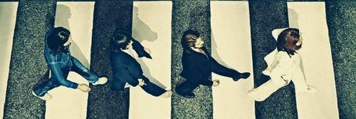 Thewalrusagain's profile banner image