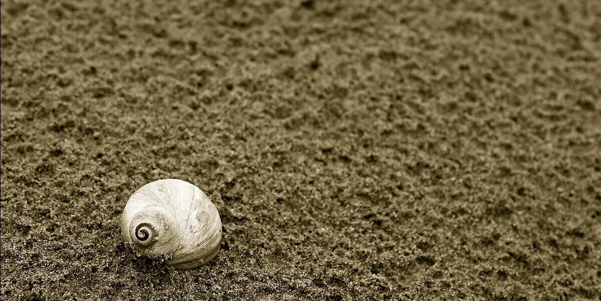 愛可愛非常愛 banner