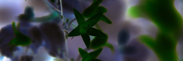 thePrettyProof Profile Banner