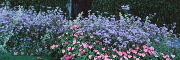 thePrettyProof Profile Banner