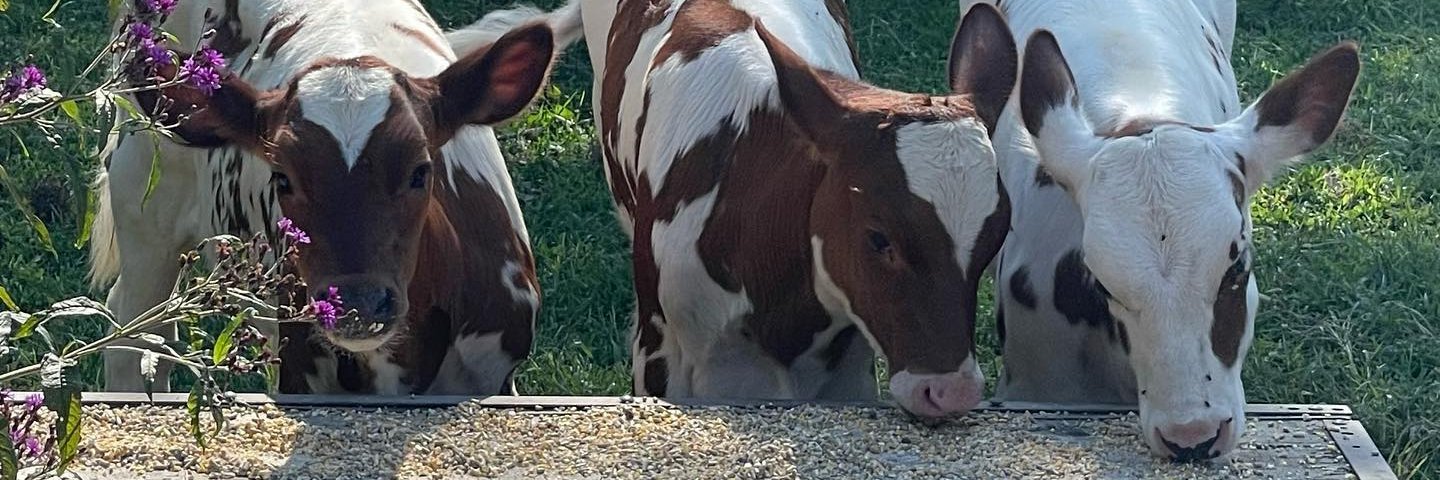 jim_farms's profile banner image