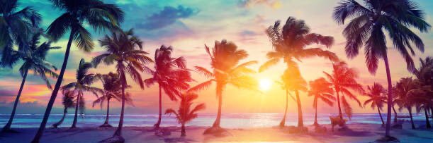 Danielle_1986_'s profile banner image