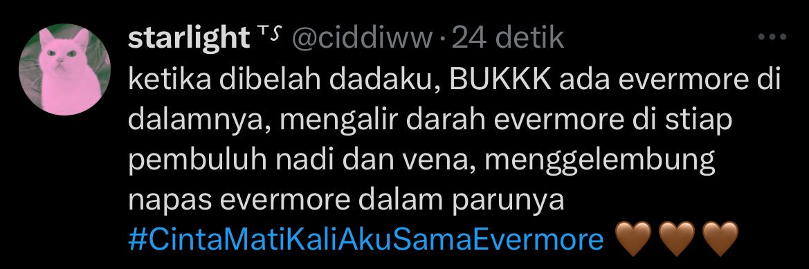 starlight ⸆⸉ banner