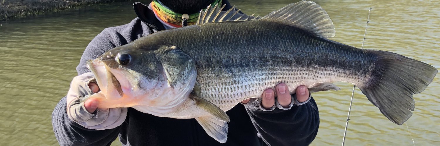 Cameron Royster banner