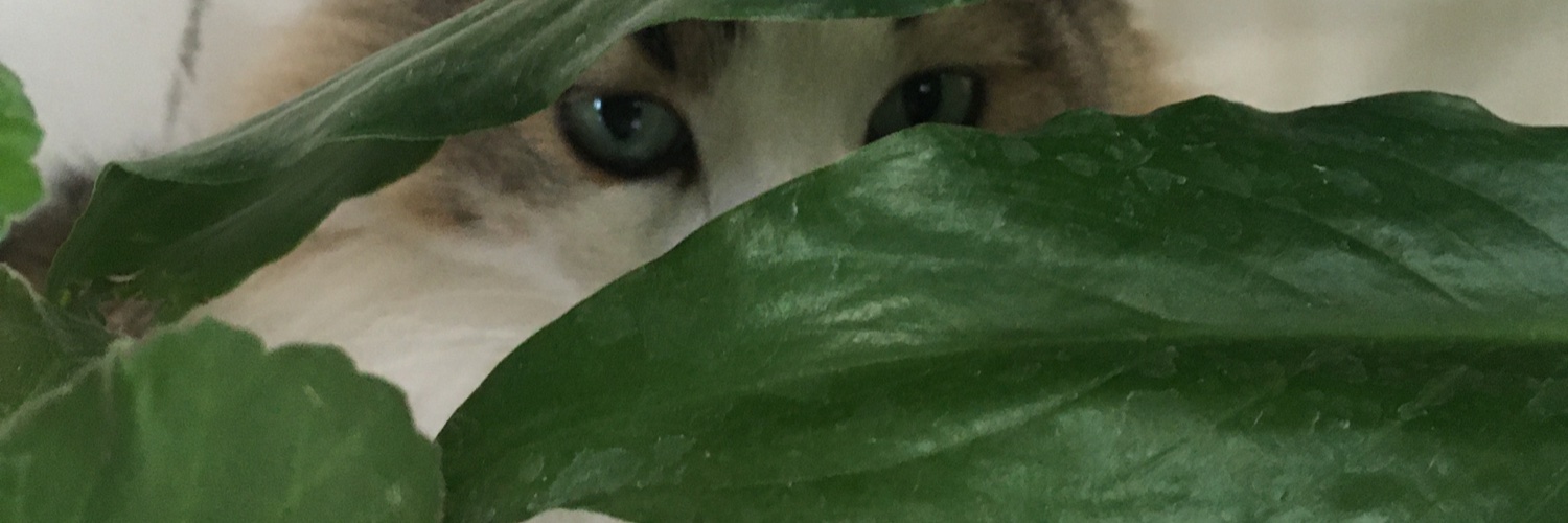 metalnoia's profile banner image