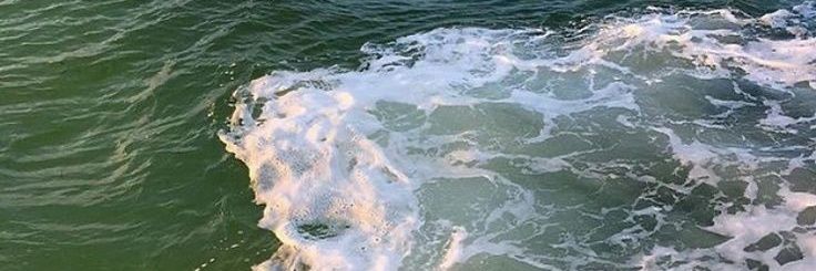 _plxto__'s profile banner image