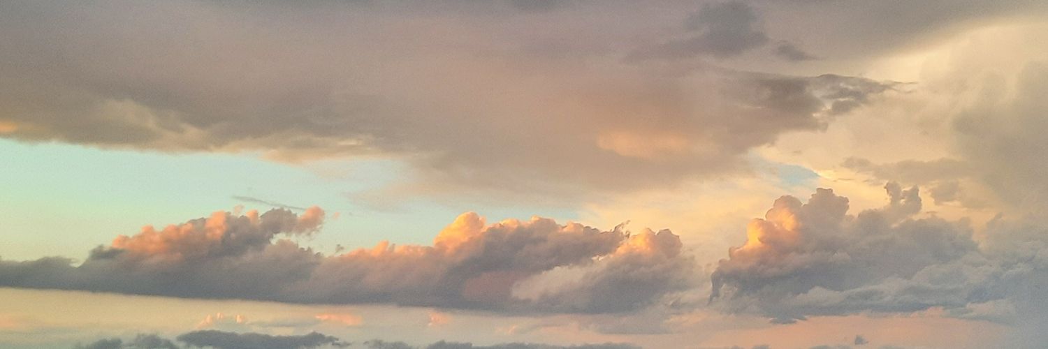 husu 🐀🌼 banner