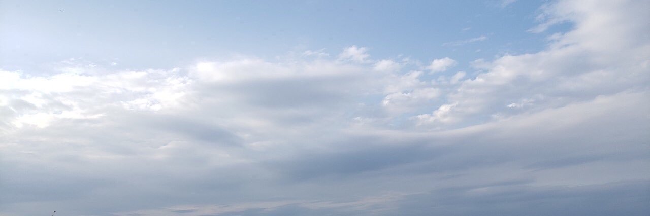 和田 banner