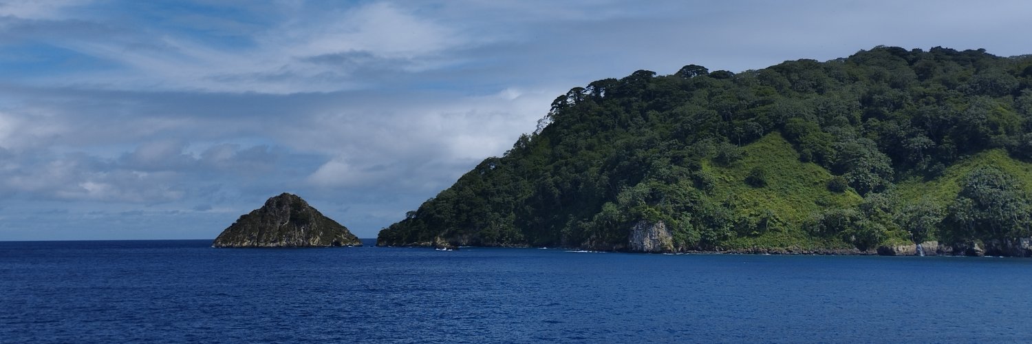 Daniela Rojas-Cañizales banner