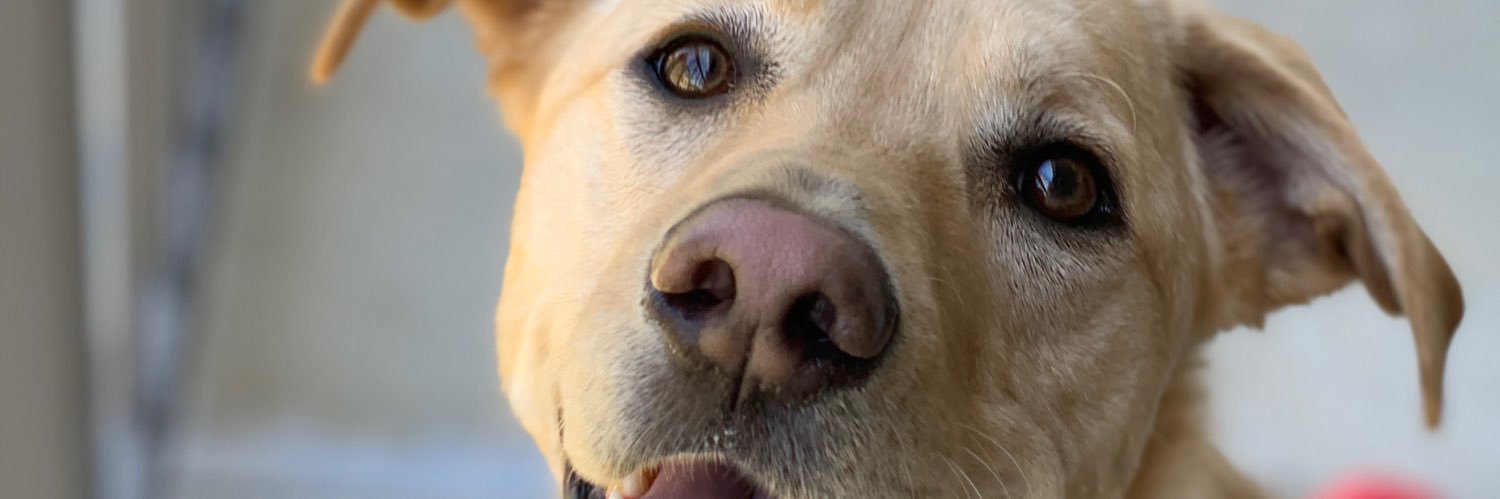 kadenstuart's profile banner image