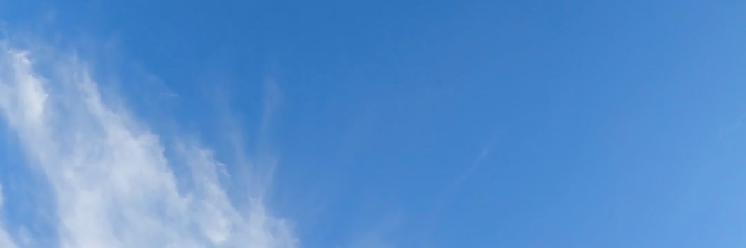 81SS81's profile banner image