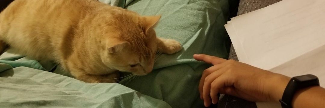 Brian7_'s profile banner image