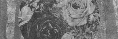 rebmablk's profile banner image