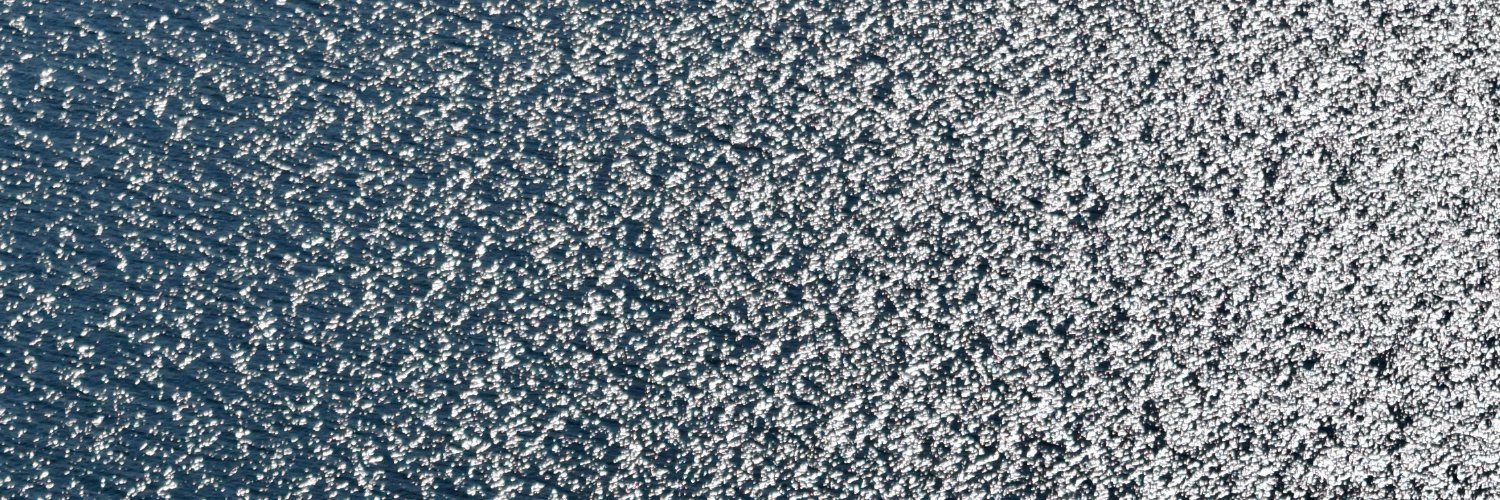 Gregory Yauney banner