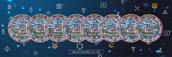 PiNetNFT Profile Banner
