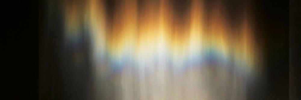 Elizabeth Kanost banner