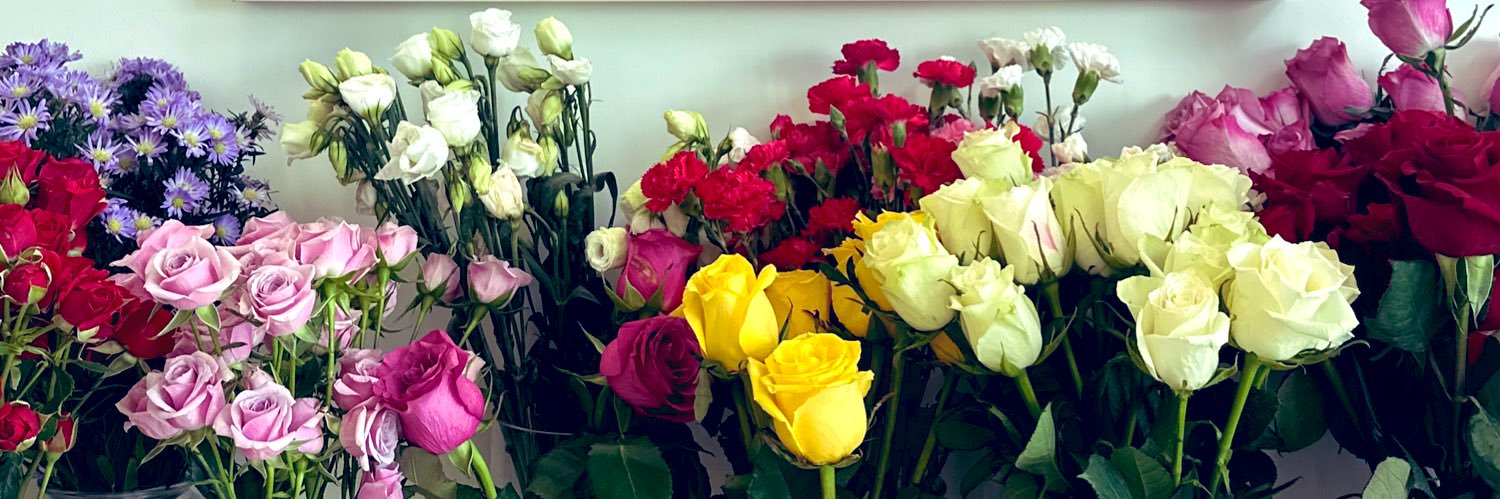 مُنِيرَة banner