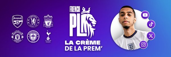 FrenchPL_YT Profile Banner
