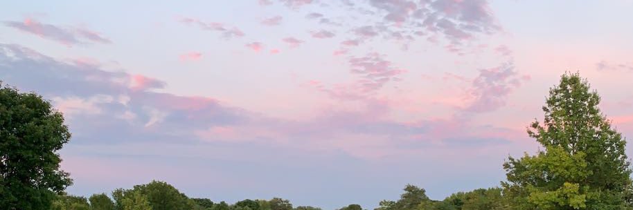 Nathan Schmidt banner